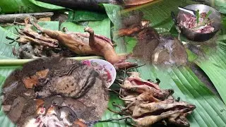 mus yos tua na noj txiv qhib 8/8/2021