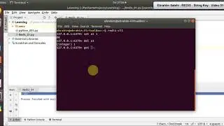 Redis 01 Using String keys