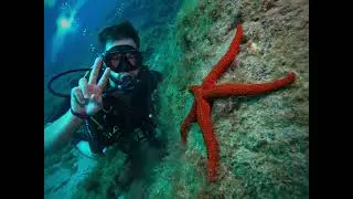 Buceo guiado en Tenerife con el Instructor Juanra. Disfruta de una experiencia única de buceo.