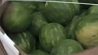 ЗАГОТОВКА НА ПРОФАЙЛ