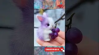 The Cutest Rabbit Baby 😻 🐰🐰❤️ 