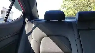 Creaky Back