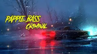 Pappie Bass - Criminal