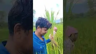 #rural