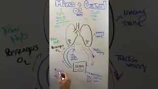 Mixed and Central Venous O2