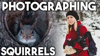 VLOG: Taking photos of squirrels on a snow day (+ lenses I use for squirrel photography)