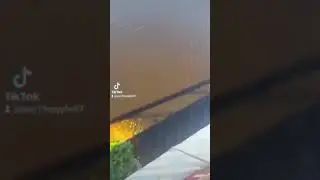 29 июня 2024 г.