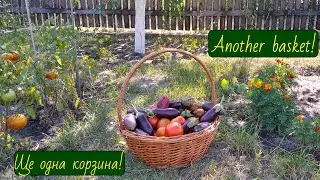 Ще одна корзина/Another basket/Otra cesta