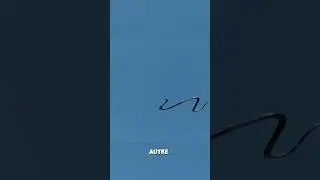 3 Animaux Qui Peuvent Voler Sans Être des Oiseaux ! 😱🔥 Le Dernier Va Vous Surprendre !