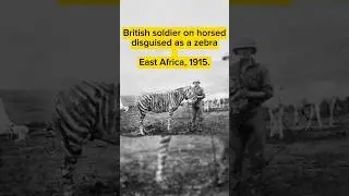 British soldier on Zebra #history #soldier #shorts #shortsvideo