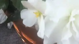 Питомник ГБУ ,,Озеленение