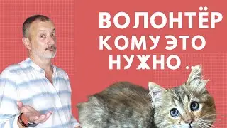 Волонтёр - кому это нужно...