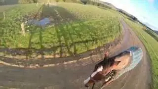 City & Boney's evening hack.