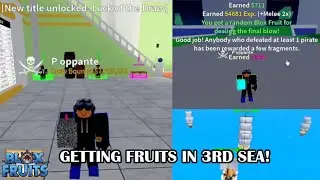 Farming fruits in 3rd Sea | Blox Fruits | Roblox