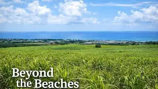 Beyond the Beaches – Mauritius 🇲🇺