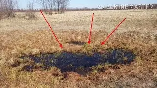 ПРОСТО РЕШИЛ ПОКОПАТЬ НА БОЛОТЕ, А ТАМ…