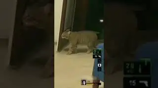 Que coño es ese ruido?
