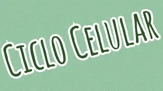 Ciclo celular