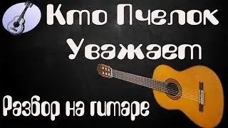 Разбор на гитаре песни Кто Пчелок Уважает
