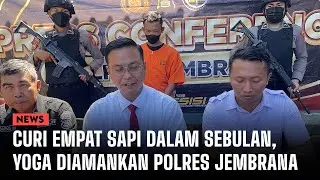 Curi Empat Sapi Dalam Sebulan, Yoga Diamankan Polres Jembrana