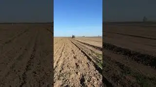 BUHLER versatile HHT