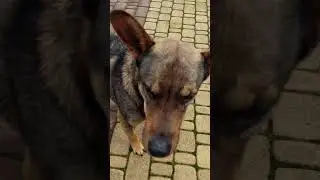 Геленджик в середине Декабря.