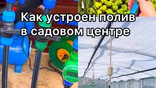 Полив через фоггеры туманом .#полив #туман