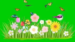 Flowers and butterfly! Green screen video!No copyright!