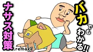 バカでもわかる！ナサス対策.remake