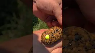 #shorts флэт фидер на карпа 🎣🎣🎣 #рыбалка #fishing #carpfishing #карпфишинг #флэтфидер