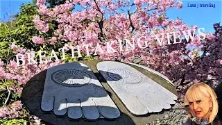 Japan|Breathtaking Hasedera Temple Views / Япония|Захватывающие виды храма Хаседера