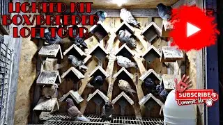 Lighted Kit Box/Breeder Loft Tour (Birmingham Roller Pigeons)