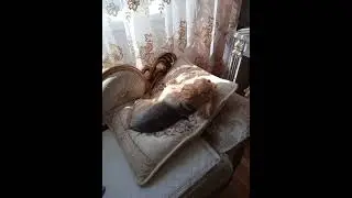 Мой дом.. Мое настроение.. 💖💥🌇