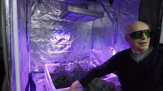 Legal Recreational Grow Show