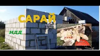 Сарай (2 часть). Заселение кроликов. Утки (Индоутки и муларды)