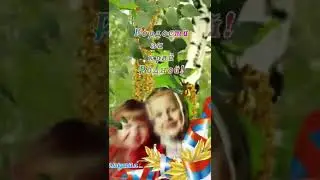 С Днем России 12 июня🕊🌿🕊🇷🇺