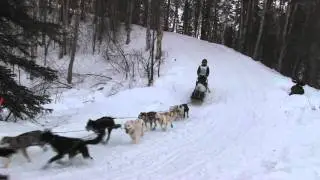 Iditarod 2011-Corral Hill-Heather Siirtola