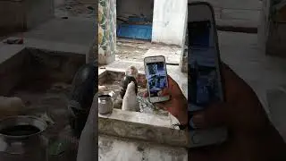 i phone 6s camera test 🔥|#shorts #shortvideo