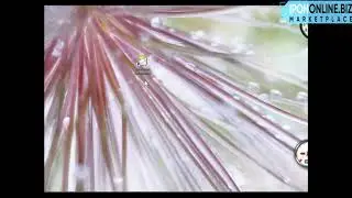 AUTOCOUNT | AutoCountVideo 02 Common Layout | IPOHONLINE