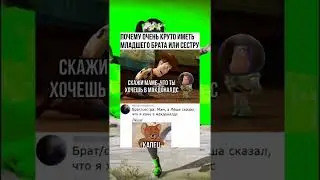 мемы