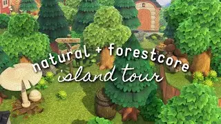 Forestcore Island Tour | Animal Crossing: New Horizons
