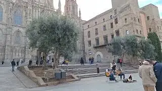 catedral Barcelona 3