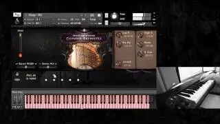 Versilian Studios Chamber Orchestra  - Harp