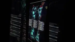 Hito Steyerl Power Plants/This is the Future