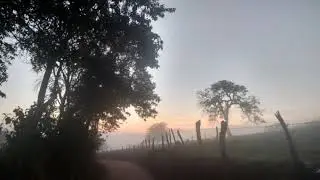 Amor pela fotografia