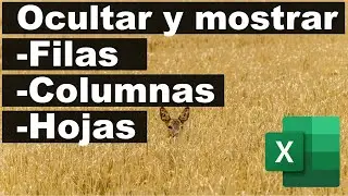 ¿Cómo ocultar filas, columnas u hojas en excel?