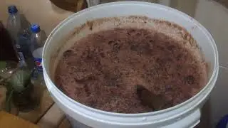 Домашнее виноградное вино и чача на отжимках. Часть 1
