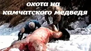 Камчатка Охота на камчатского медведя 1998 год