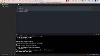 Python 18.2 Fixing Programming Errors - Runtime Errors