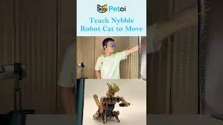 Robot Cat Nybble Can Follow My Motion Now | PetoiCamp